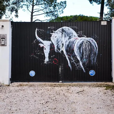 La Yourte De Nimes, Sauna, , Jacuzzi Piscine Et Aire De Jeux Privatif 4* Caveirac